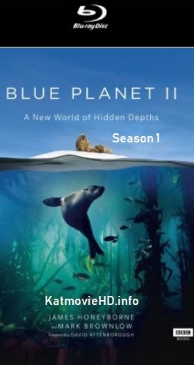Blue Planet II S01 COMPLETE 1080p 720p BRRip 6CH (Season 1) Download