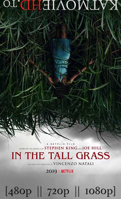 In the Tall Grass (2019) Web-DL 1080p / 720p / 480p [Hindi Sub] – [Netflix Horror Flim]